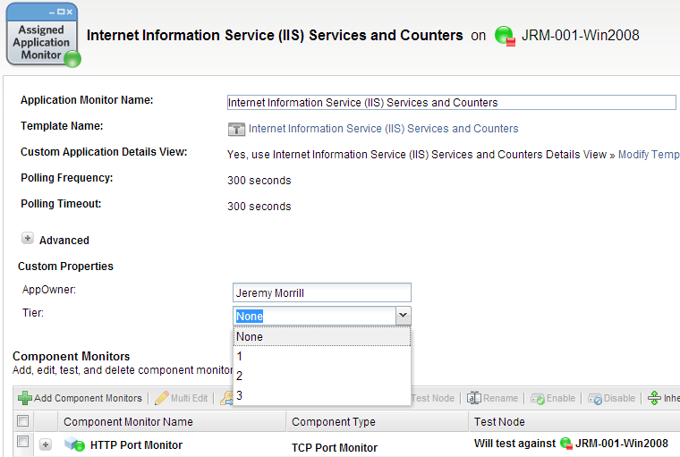 Application Template Editing Custom Properties.png